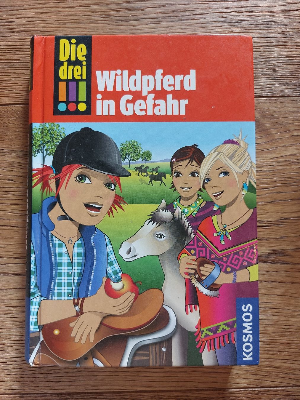 Libri: Die drei !!! - Wildpferd in Gefahr – Usato da Effretikon venduto da jea_yq2t