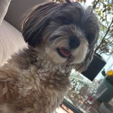 Profile image of Joy111