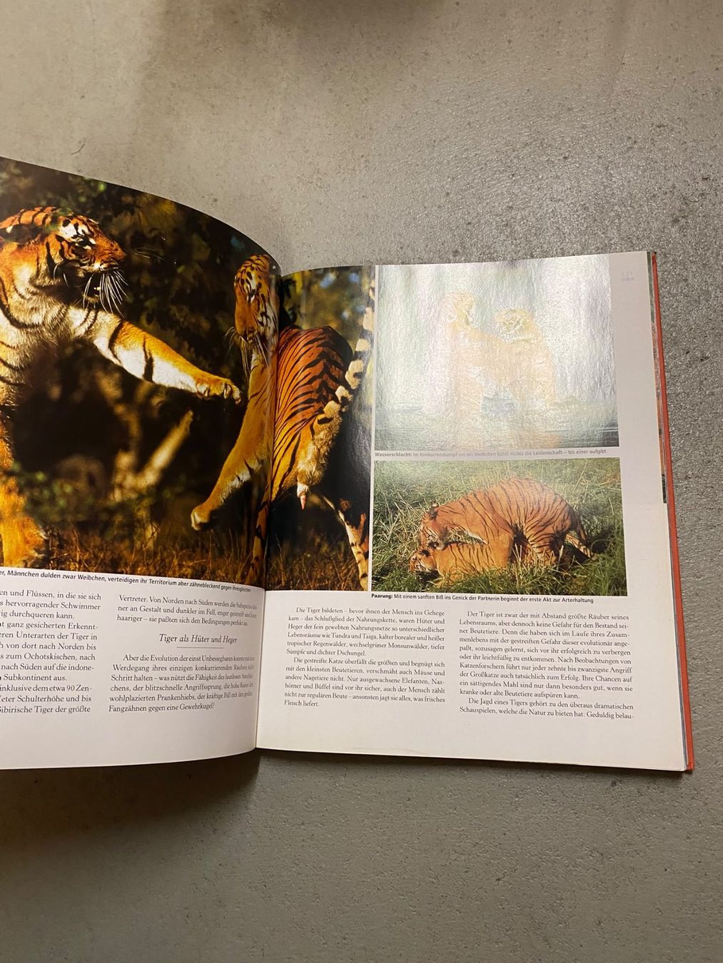 Libri: Expedition ins Tierreich Buch – Usato da Zürich venduto da luc_z8d5