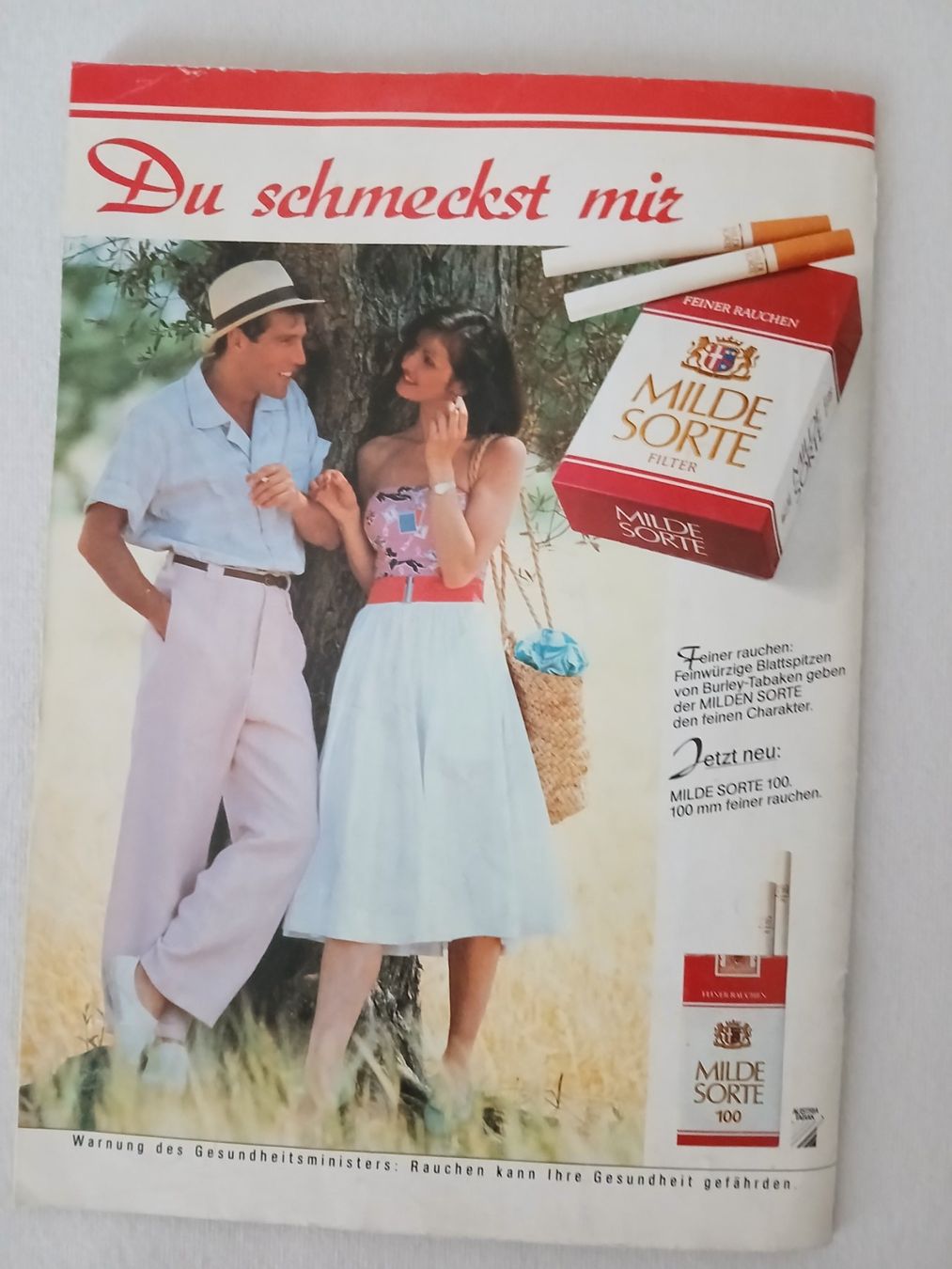 Riviste & Magazine: Programmheft Formel 1; GP Österreich, Zeltweg 1985 – Usato da Aarburg venduto da Hktm 9