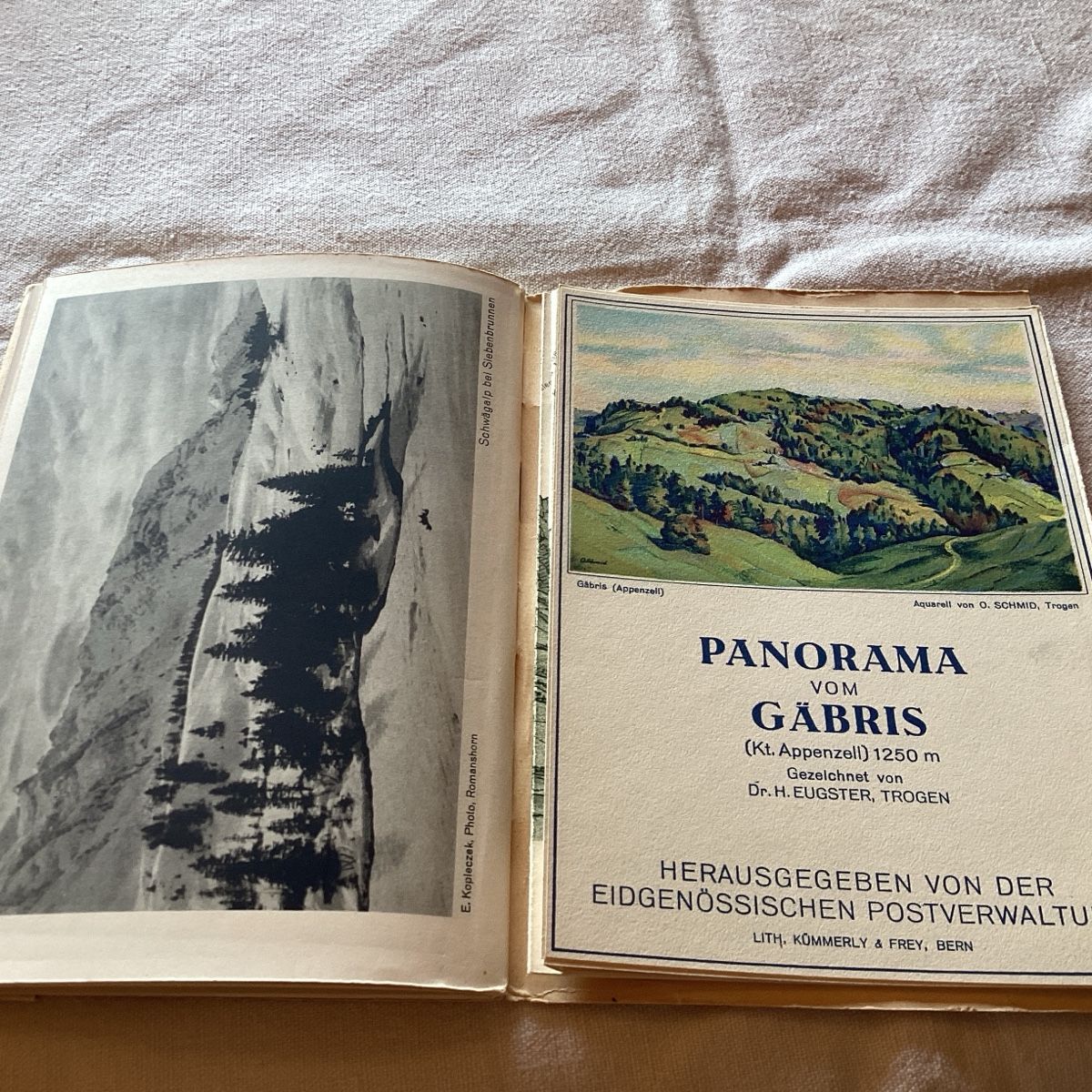 Cartoline postali: Appenzerllerland poststrasse carte panorama complet illustré – Usato da Luc (Ayent) venduto da Rebouille 5