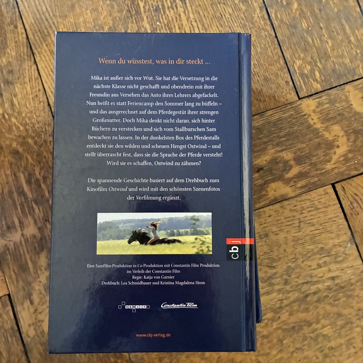 Libri: Ostwind 6 Bände – Usato da Winterthur venduto da bunteperlen 5