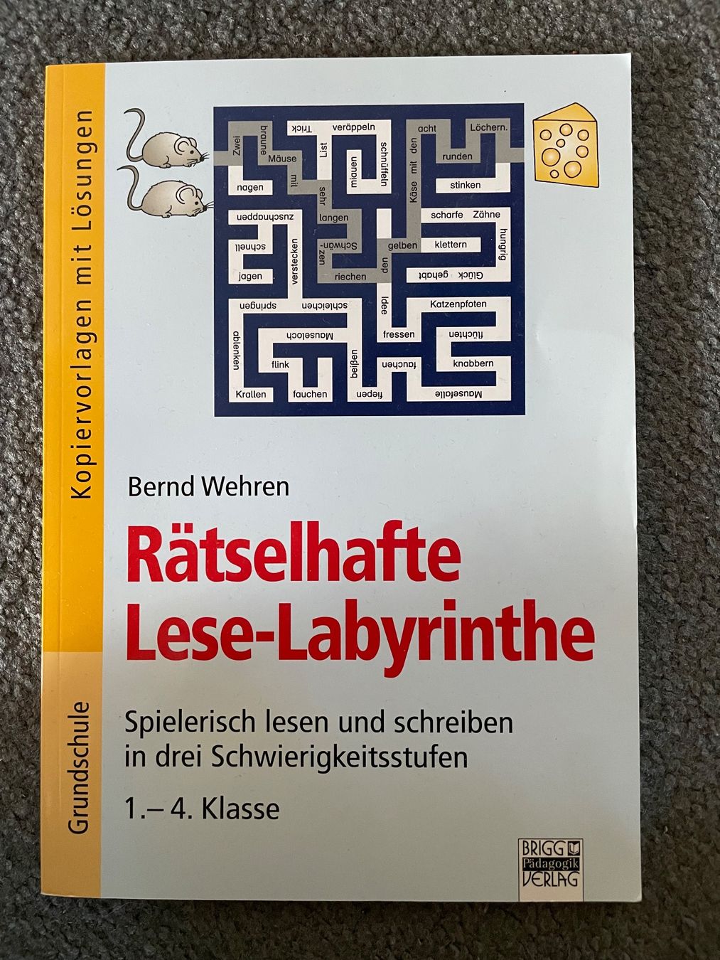 Libri: Rätselhafte Lese Labyrinthe Lehrmittel Primarschule – Usato da Esslingen venduto da Zeppi1