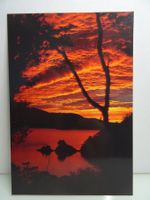 Postkarte Kenepuru Sound,Marlborough Sounds Neuseeland 12x18