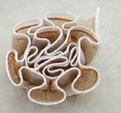 Tessuti: Fleur organza 2 tons BRUN 3cm – Nuovo e nell'imballaggio originale da St-Imier venduto da goodber