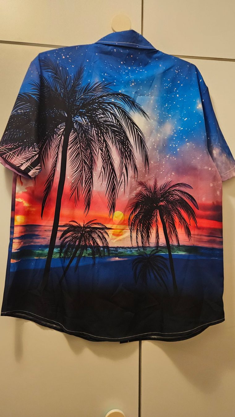 Camicie: Camicia uomo tg.L poliestere "spiaggia" – Usato da Melano venduto da H-Sara 1
