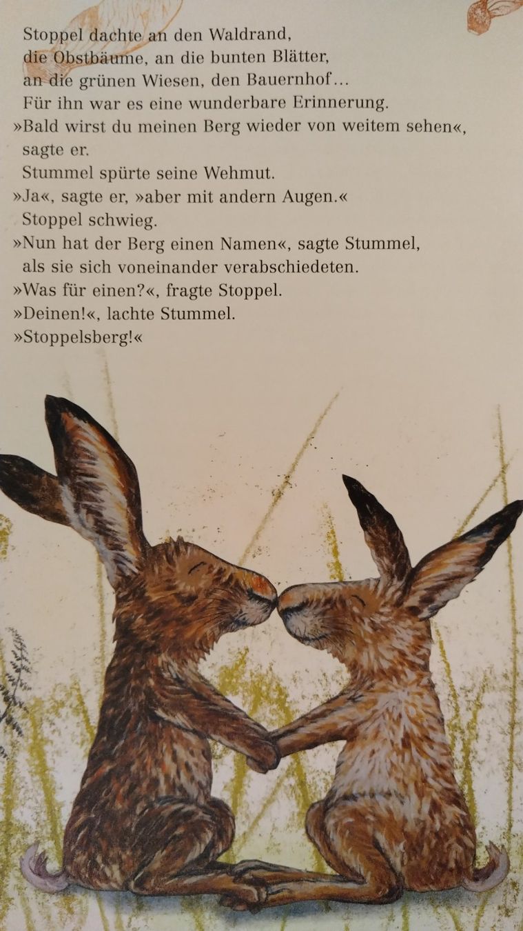 Bücher: Hase Stummel, ein Hasenkind wird gross / Kathrin Schärer – Gebraucht aus Bellach von JingleJerry 8