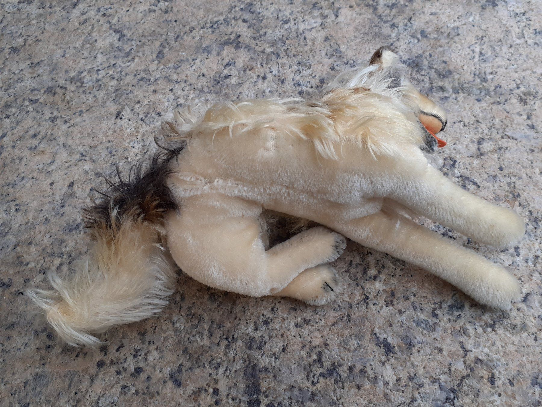 Steiff Giocattoli: Stofftier Steiff Collie antik – Usato da Mörschwil venduto da lindaswunderkiste 9