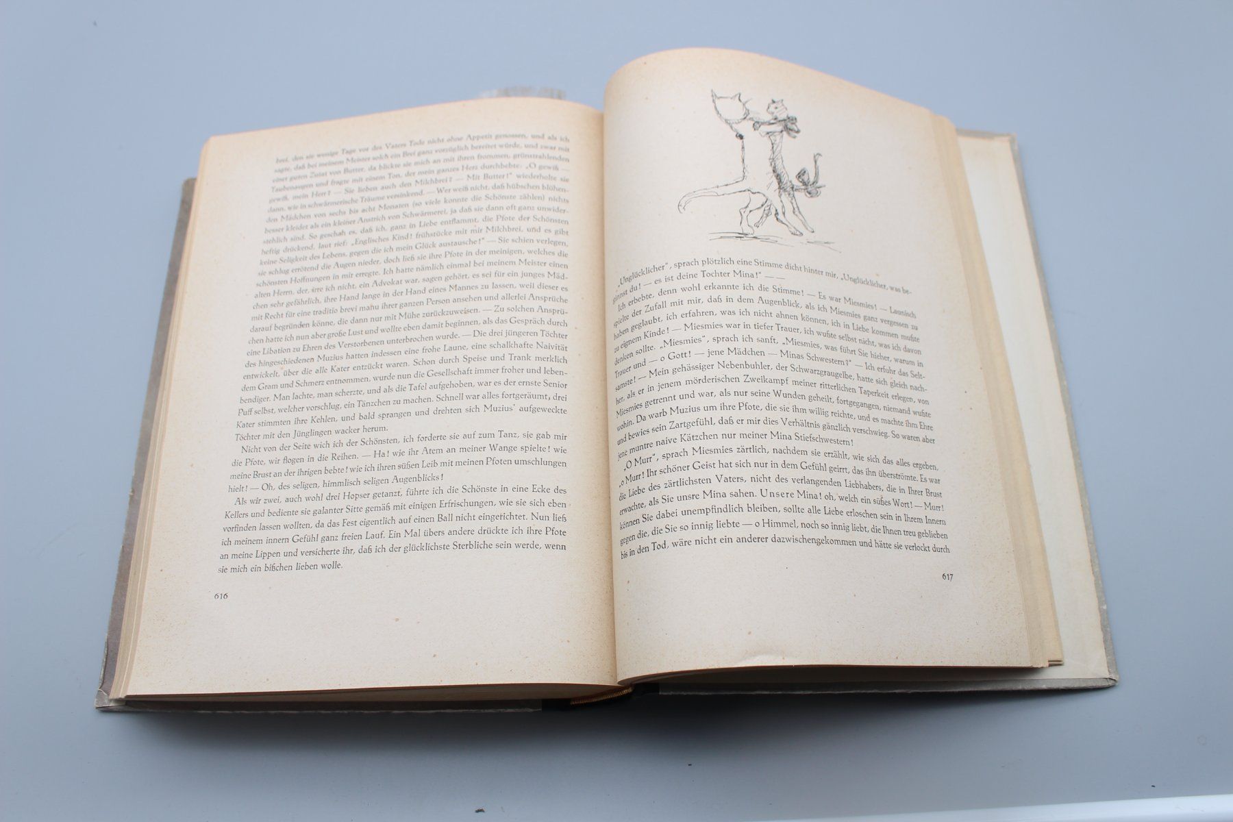 Libri: Buch "Erzählungen" von E. Th. A. Hoffmann (1942) – Usato da Bruettisellen venduto da Collector_Store 6