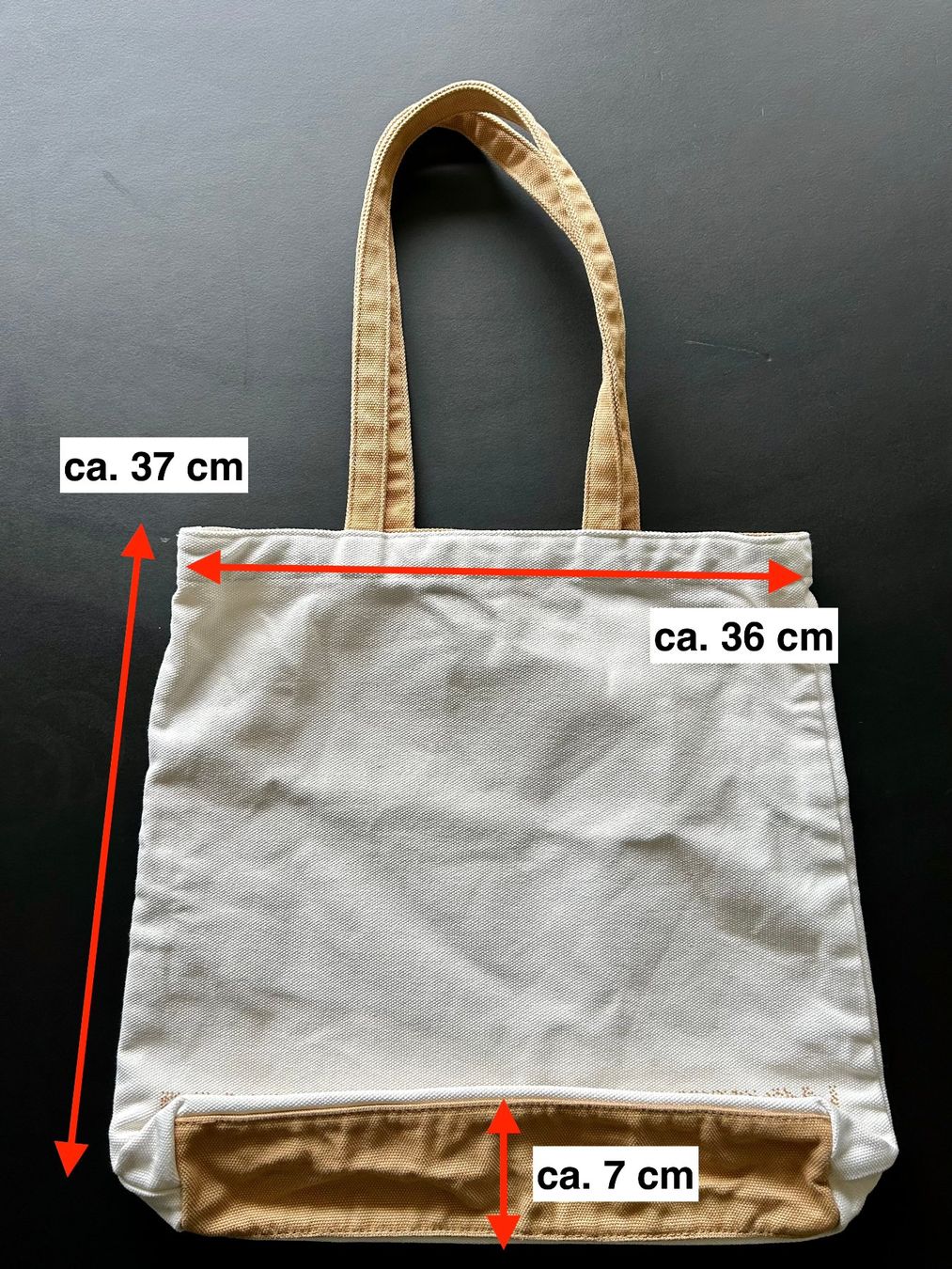 Louis Vuitton Borse: Fondation Louis Vuitton / Totebag – Usato da Dietlikon venduto da man_c2v6 8