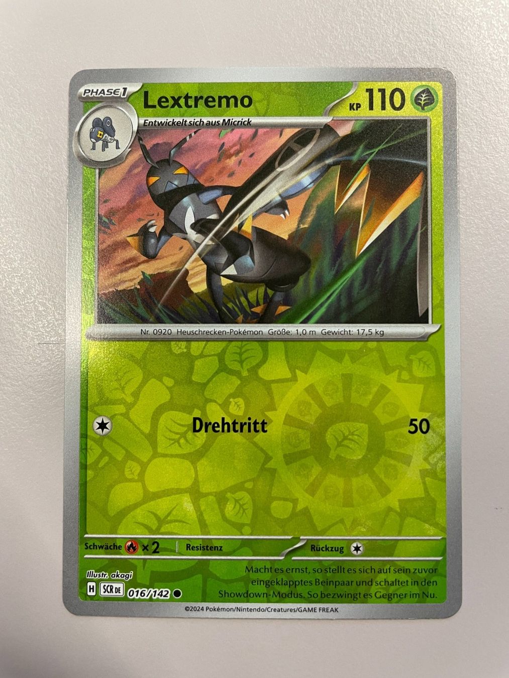 Pokémon Carte collezionabili: Pokemon Lextremo (Versand gratis) – Nuovo (secondo la descrizione) da Chur venduto da Angerson