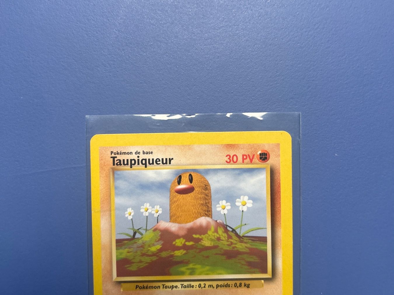 Pokémon Carte collezionabili: 1999 Taupiqueur 47/102 Set de base FR – Usato da Schlieren venduto da happymerchant64 2