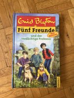 Fünf Freunde und der verdächtige Professor