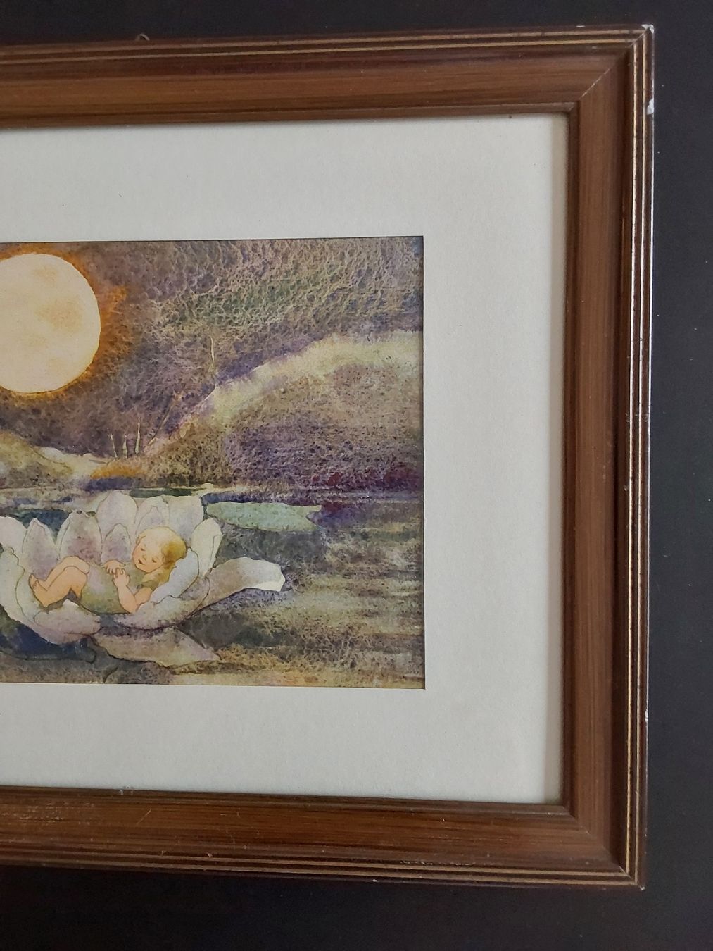 Arts picturaux & lithographies: Mili Weber. Lithographie mit Rahmen 34,5x 28cm. – D'occasion à Steinach par Chilli1957 3