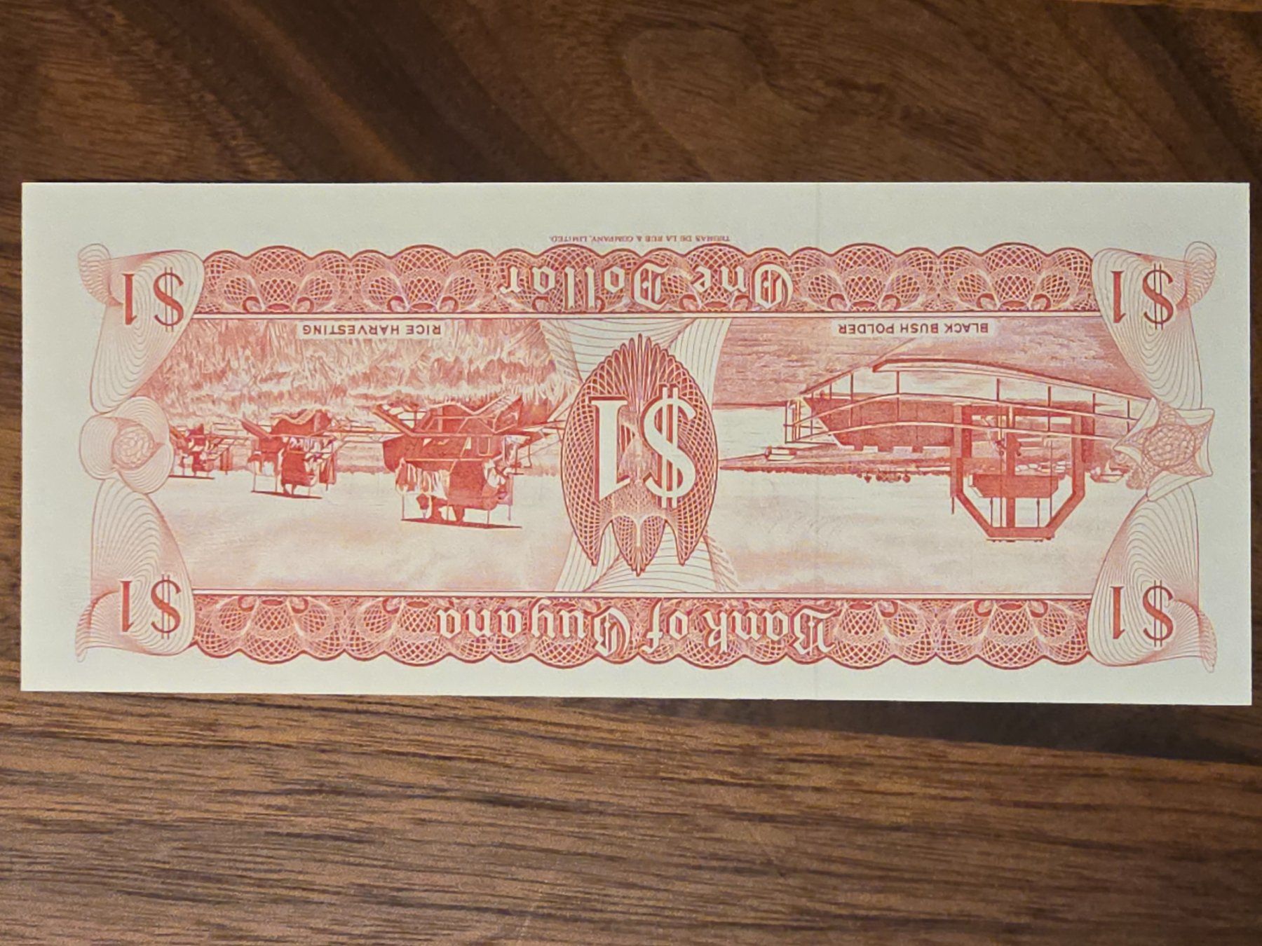 Banconote: Guyana 1 Dollar Note – Usato da Büttikon AG venduto da Amineah 1