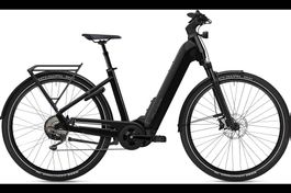 NEU E-BIKE FLYER 25KM/H | 95NM & 750WH FIT PANASONIC
