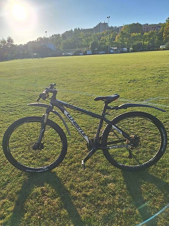 Biciclette: Whistle mountainbike – Usato da Winterthur venduto da bis_6s2h