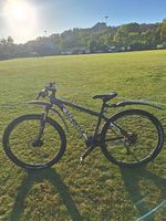 Whistle mountainbike