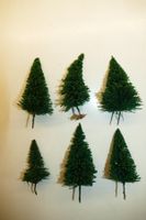 Spur H0: 6xTannenbaum. Höhe 7-10cm
