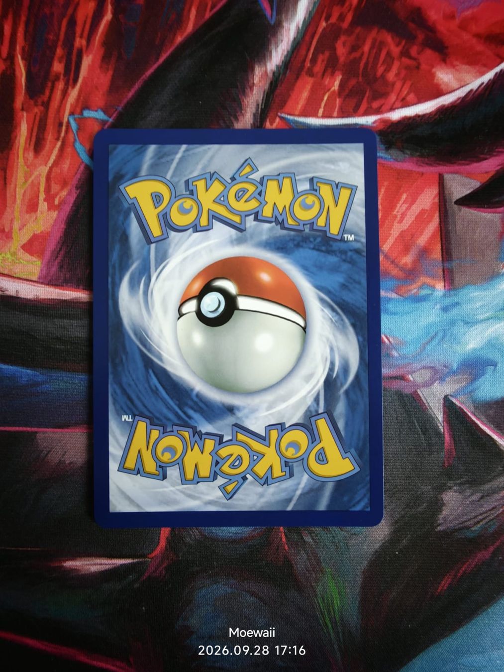 Pokémon Carte collezionabili: Mega Sharpedo ex - Phantasmal Flames - 127/094 - english – Nuovo (secondo la descrizione) da Basel venduto da Moewaii 1