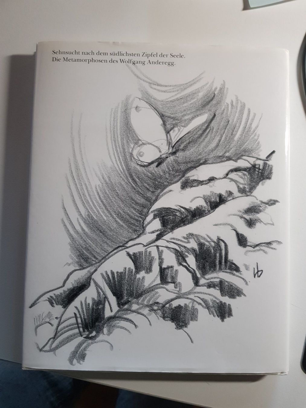 Bücher: Vintage Klassiker Buch: Andreas Urweider - Fläisch u fFligel – Gebraucht aus Walterswil BE von Lonitti 9