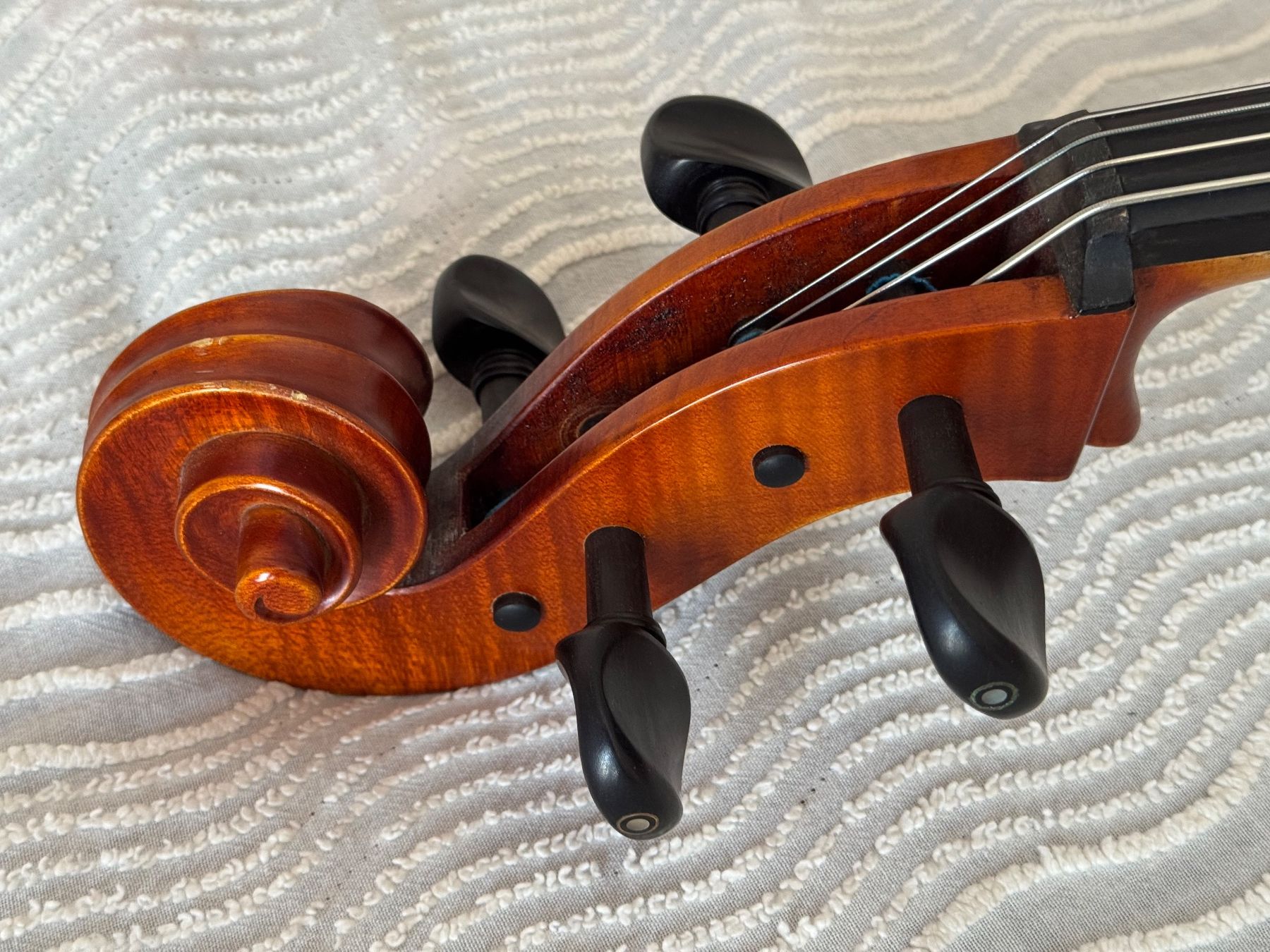 Strumenti musicali: Cello von Benedikt Lang (Mittenwald) – Usato da Illnau venduto da Halixx 4