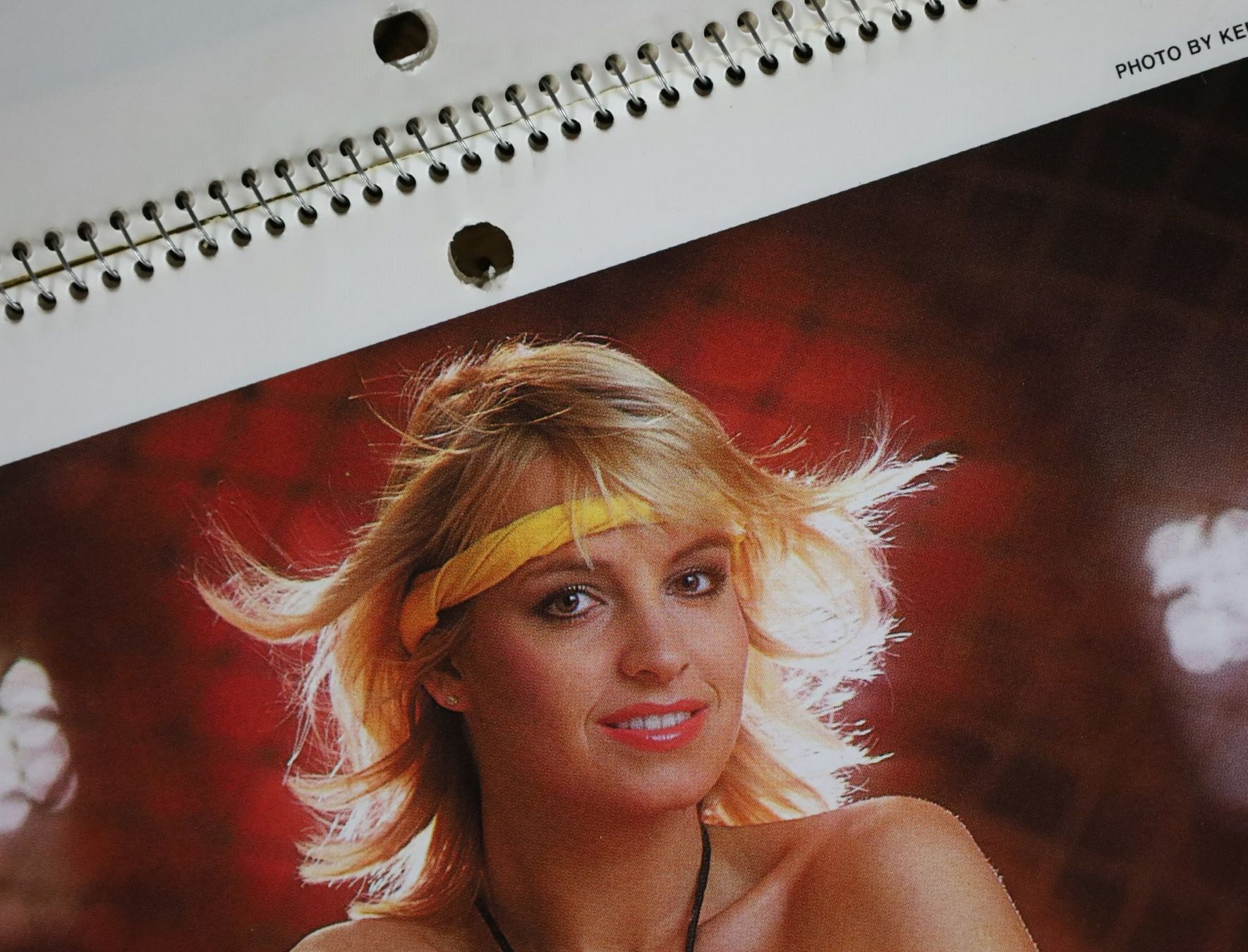 Playboy Calendari: PLAYBOY Kalender 1984 – Usato da Birrwil venduto da brandschatz_birrwil 5
