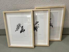 Bilderrahmen mit Bilder