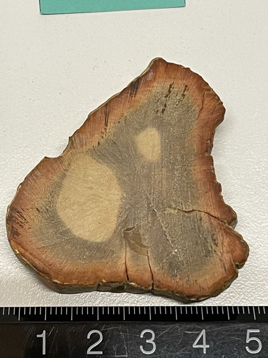 Minerali & Pietre curative: Heilstein versteinertes Holz – Usato da Rümlang venduto da euqinom16 2