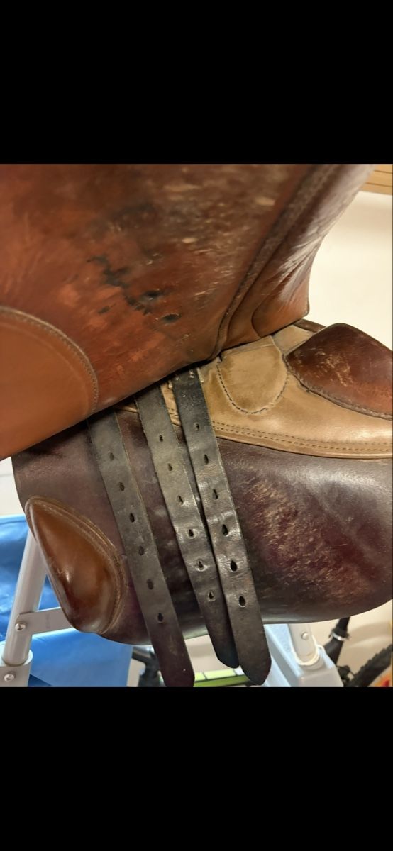 Selle & Accessori: Stübben Springsattel – Usato da Wolfhausen venduto da Sag86 1