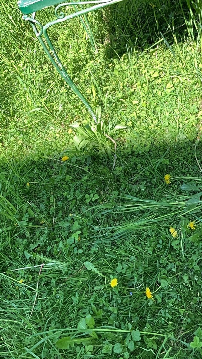 Tavoli: Gartentisch antik – Usato da Zürich venduto da ylluw50 1