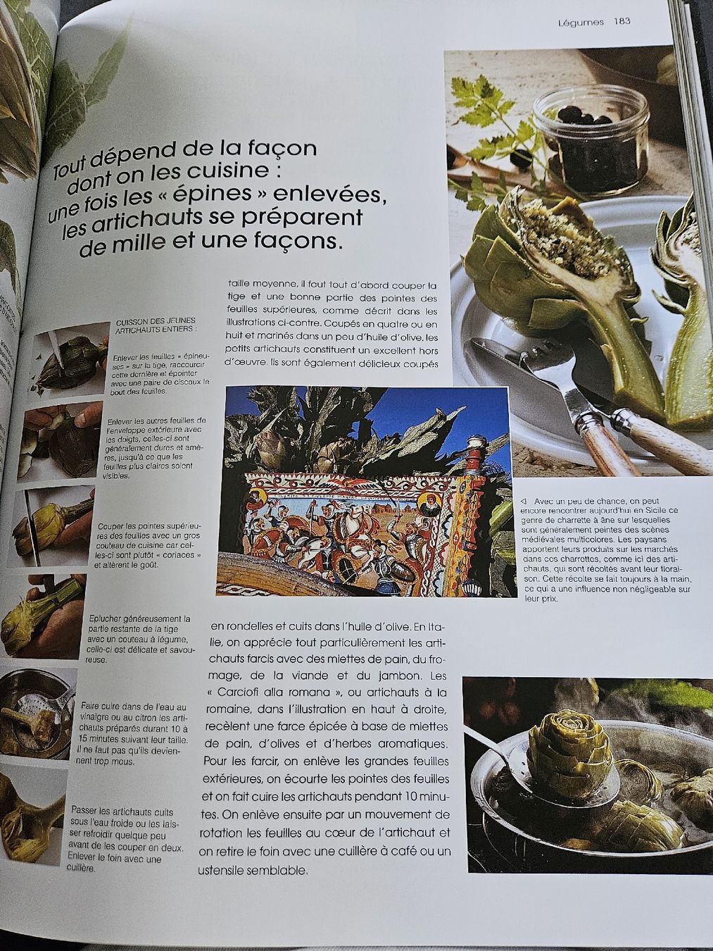 Libri: Teubner Food – Nuovo (secondo la descrizione) da Ipsach venduto da Strahlemann83 3