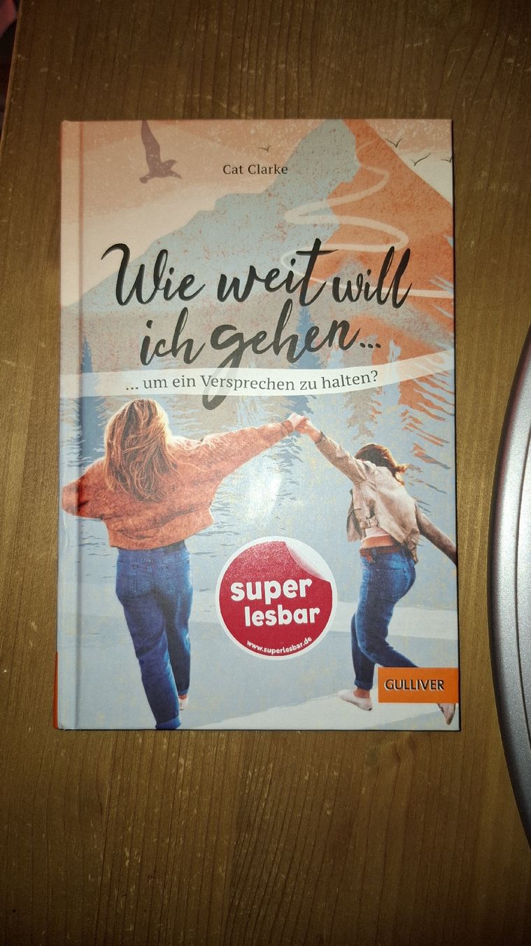 Libri: Wie weit will ich gehen, um ein Versprechen zu halten – Nuovo (secondo la descrizione) da Aesch BL venduto da fabi.07