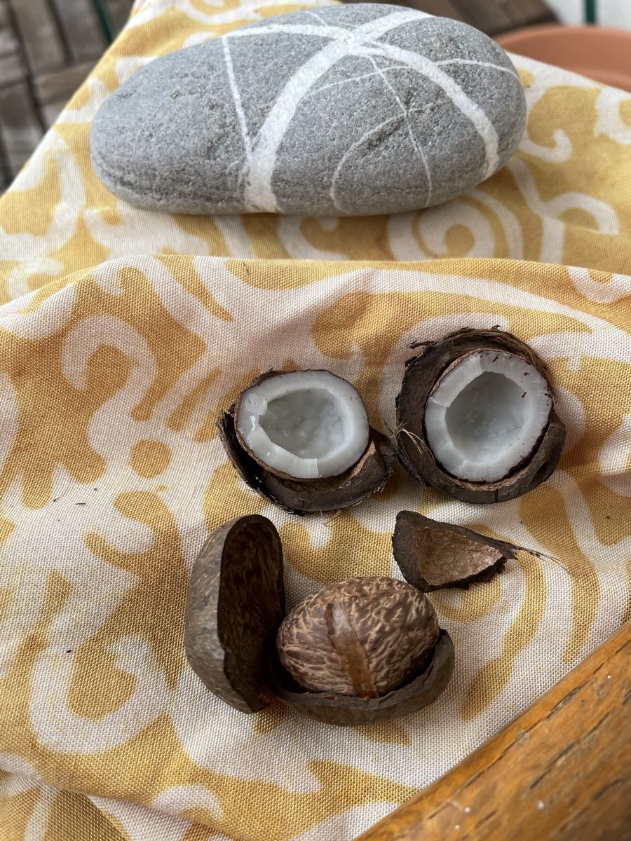 Cibi & Specialità: Schweizer Mini-Kokosnüssli (Coquitos) – Nuovo e nell'imballaggio originale da Kriens venduto da p_ART_rizia 1
