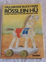 Das grosse Buch vom Rösslein Hü: Kinderbuch von 1983
