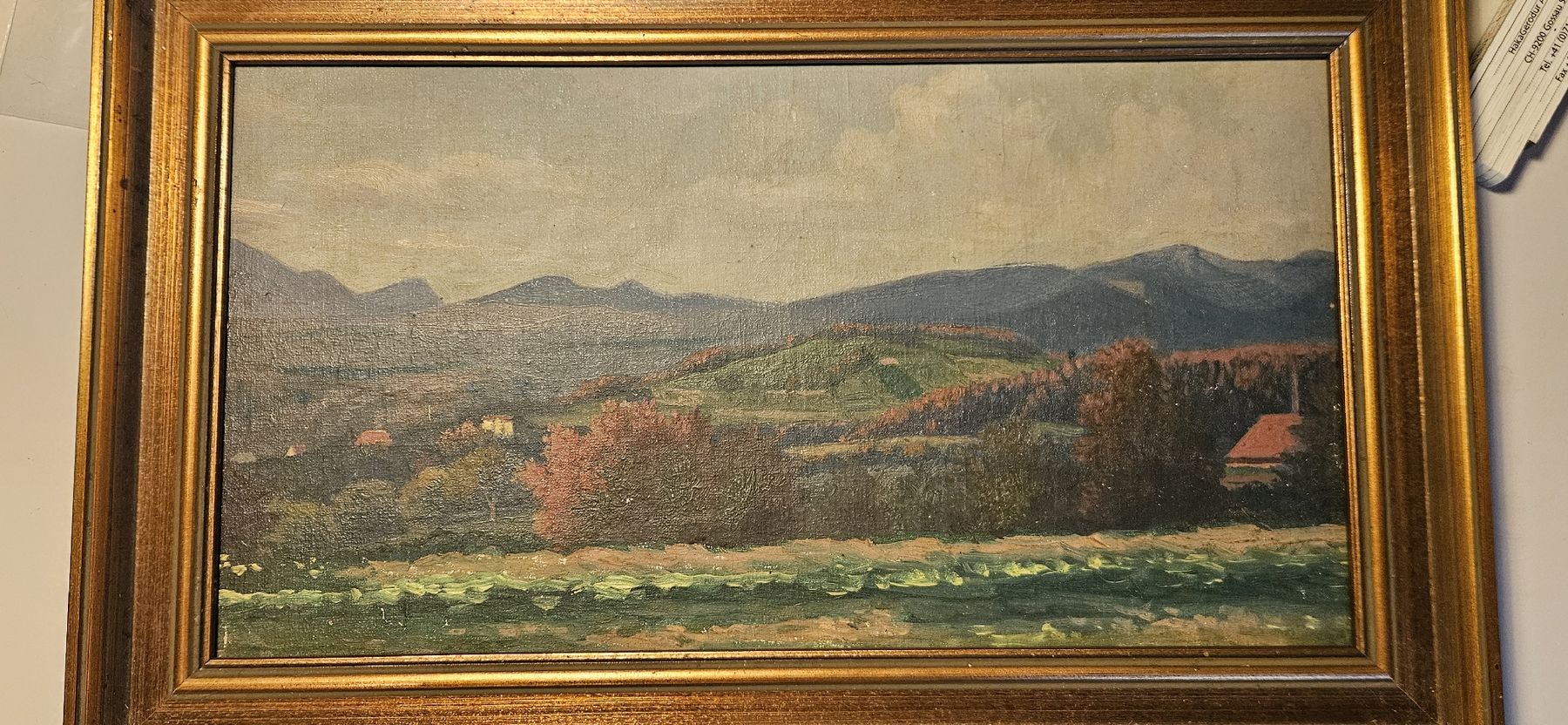 Dipinti: Landschaftsgemälde - Ölgemälde – Usato da Belp venduto da Ginus85 3