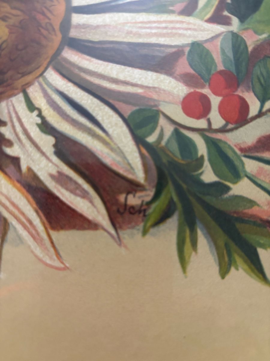 Dipinti: Tableau fleurs de Alpes rétro – Usato da Estavayer-le-Lac venduto da bde_mc5x 2