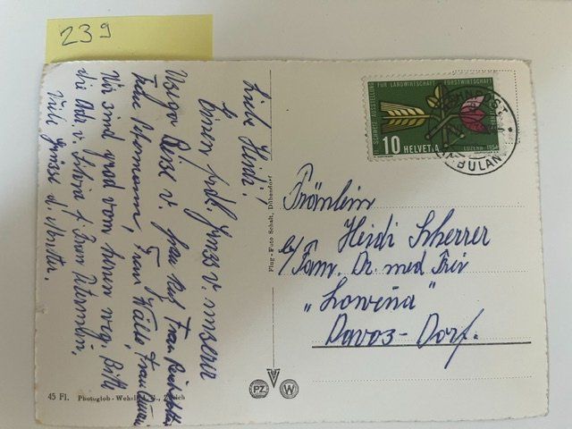 Cartoline postali: Alte Ansichtskarte Rapperswil mit See und Burg – Usato da Niederwil AG venduto da dahu75 1