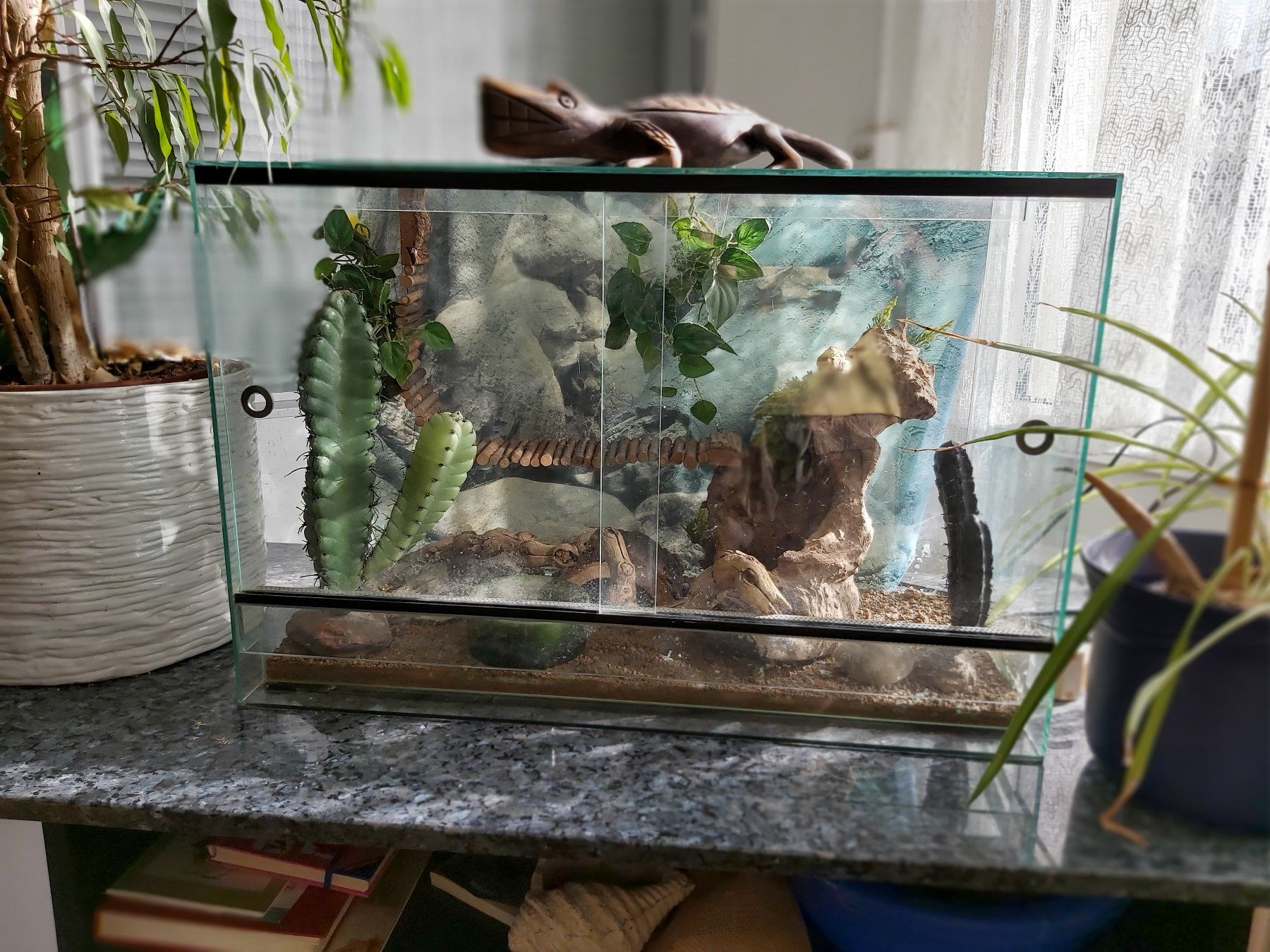 Terrariums: Terrarium – D'occasion à Urdorf par Gigitune
