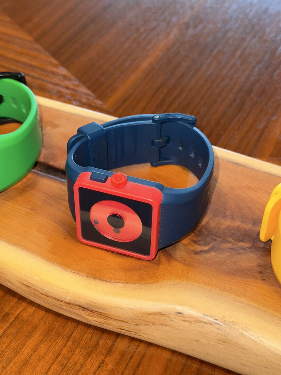 Nixon Orologi: Nixon - Newton – Usato da Schlieren venduto da Cachorroquente 1