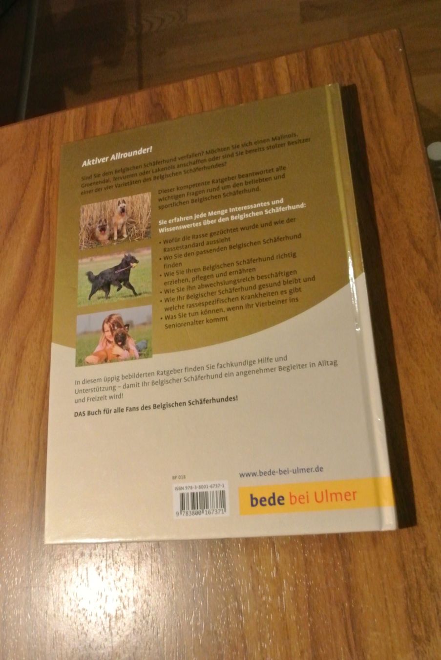 Libri: Belgischer Schäferhund – Usato da Rüschlikon venduto da Plk1 3