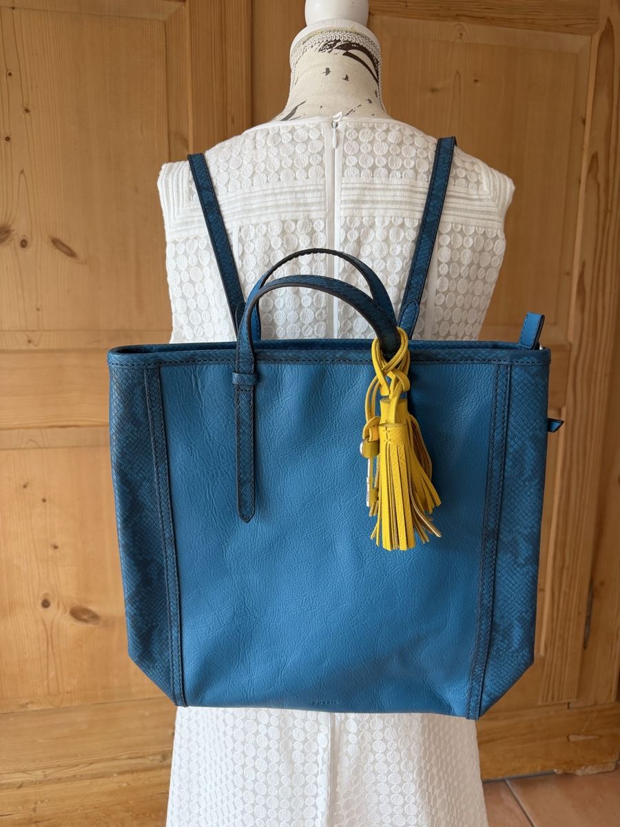 Fossil Borse da donna: FOSSIL 2-in-1 Tasche Rucksack  – Nuovo (secondo la descrizione) da Bonstetten venduto da norisknofun123