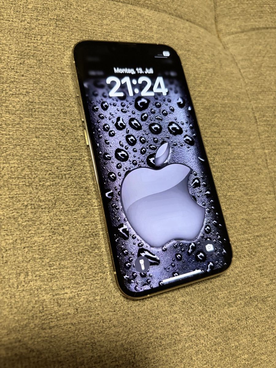 Apple Portables: iPhone 13 Pro iOS 18 – D'occasion à Aarburg par jon_mw9q 9