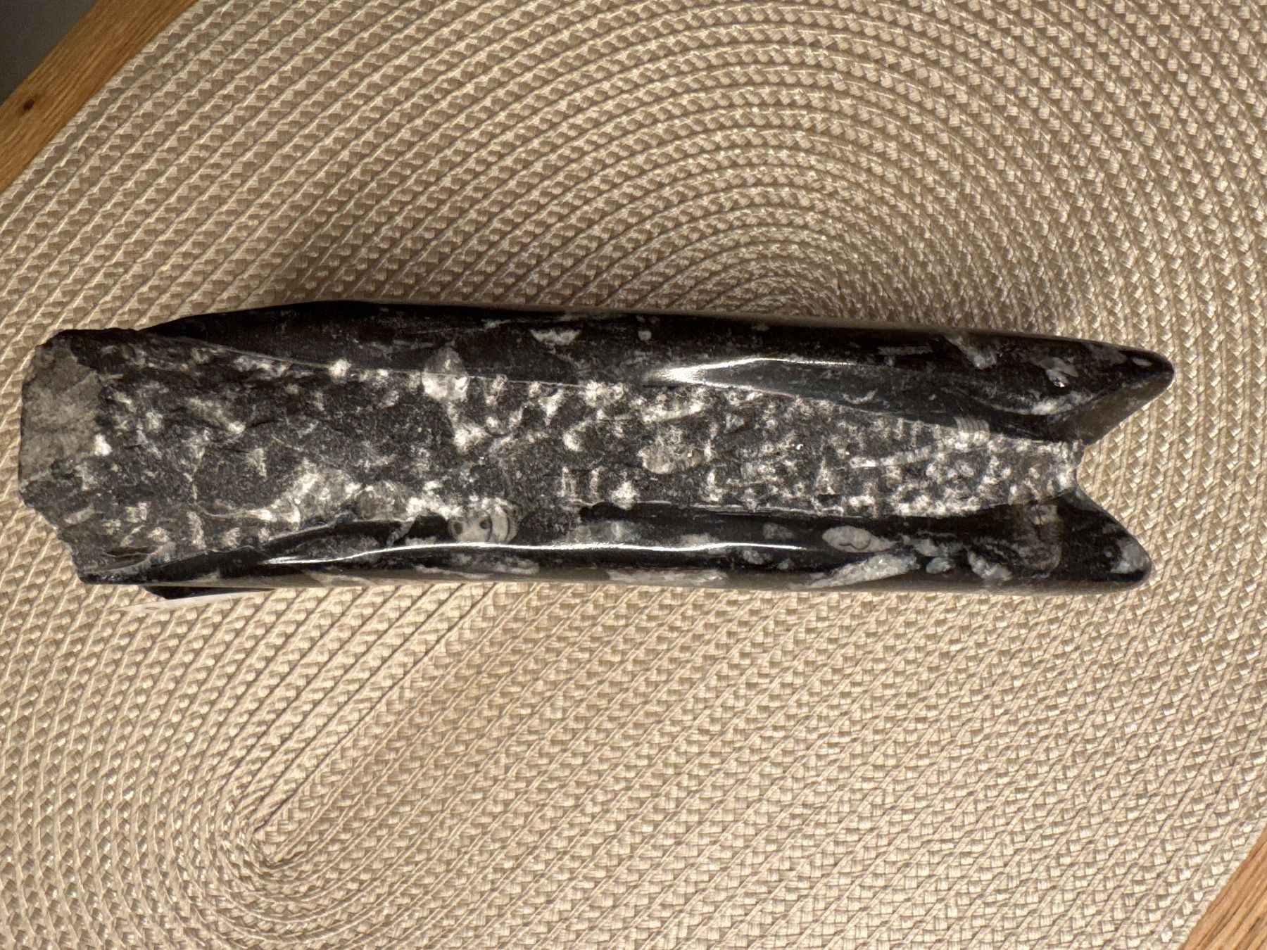 Fossili: Fossiler Tintenfisch Orthoceras aus Marokko, Devon Periode – Usato da Windisch venduto da Zeta2018 1