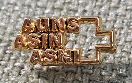 N815 - Pin AUNS ASIN ASNI Schweiz