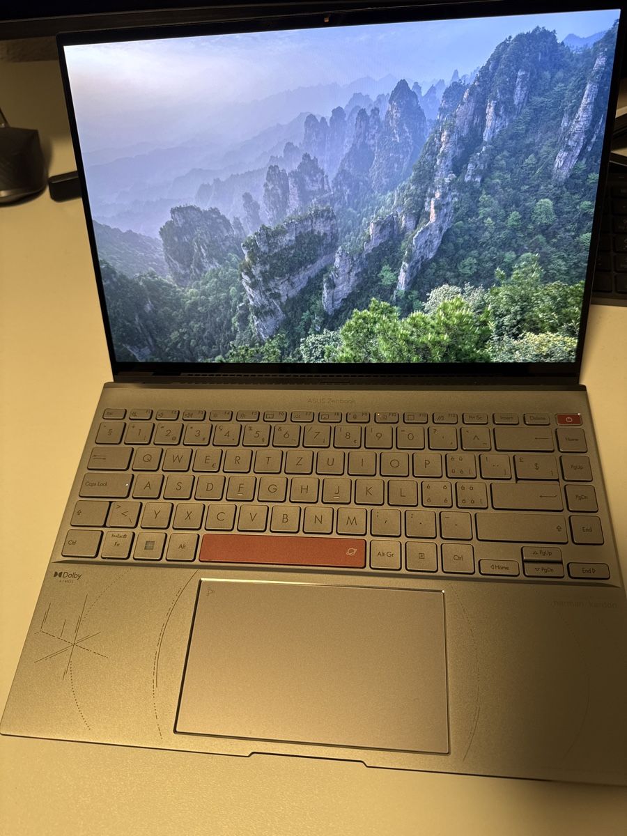 Asus Notebook: ASUS ZenBook 14X OLED Space edition – Usato da Wil SG venduto da pet_shj8