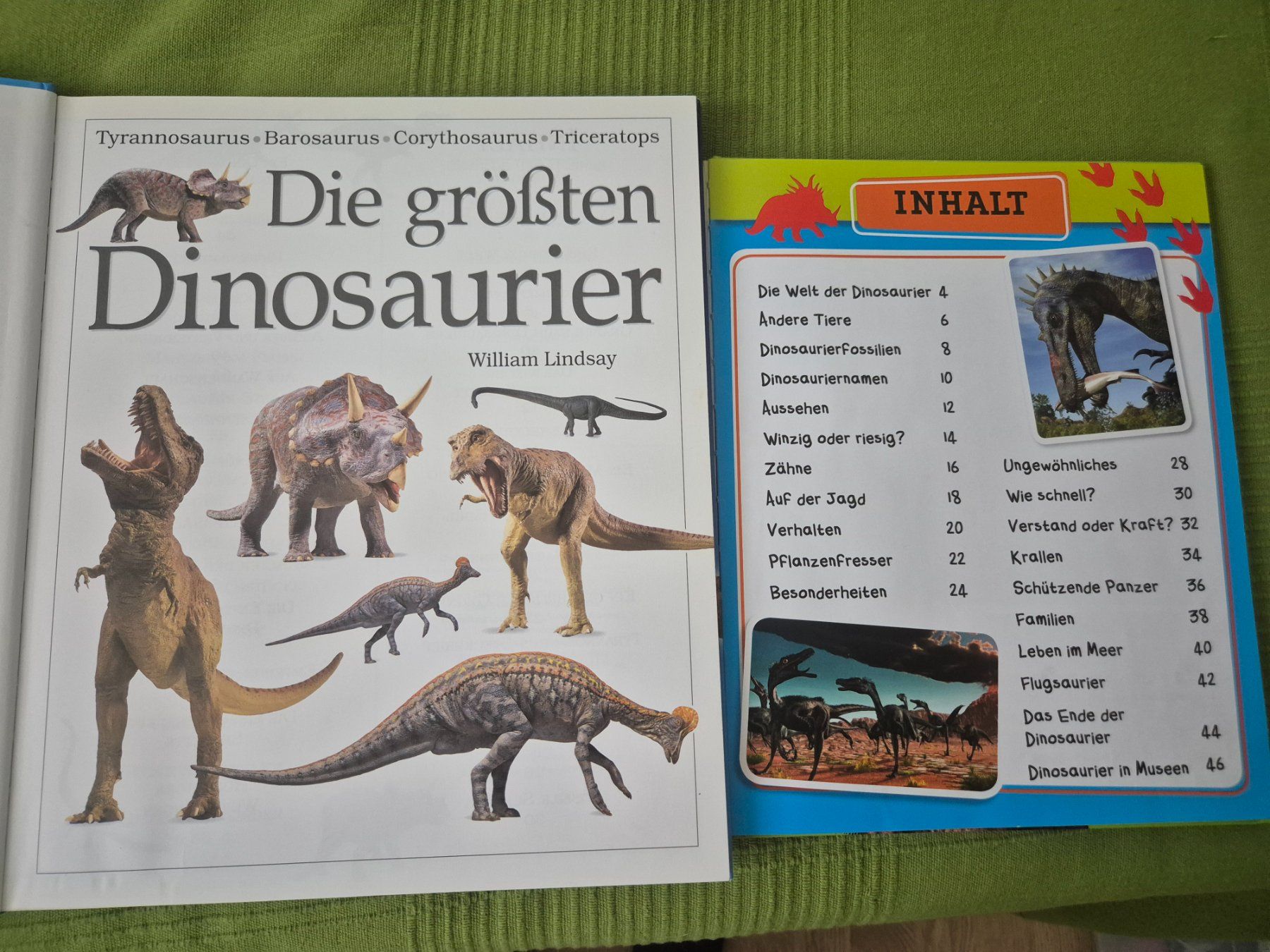 Bücher: 2 Dinosaurier Sachbuecher – Gebraucht aus Stäfa von Arjen2011 1