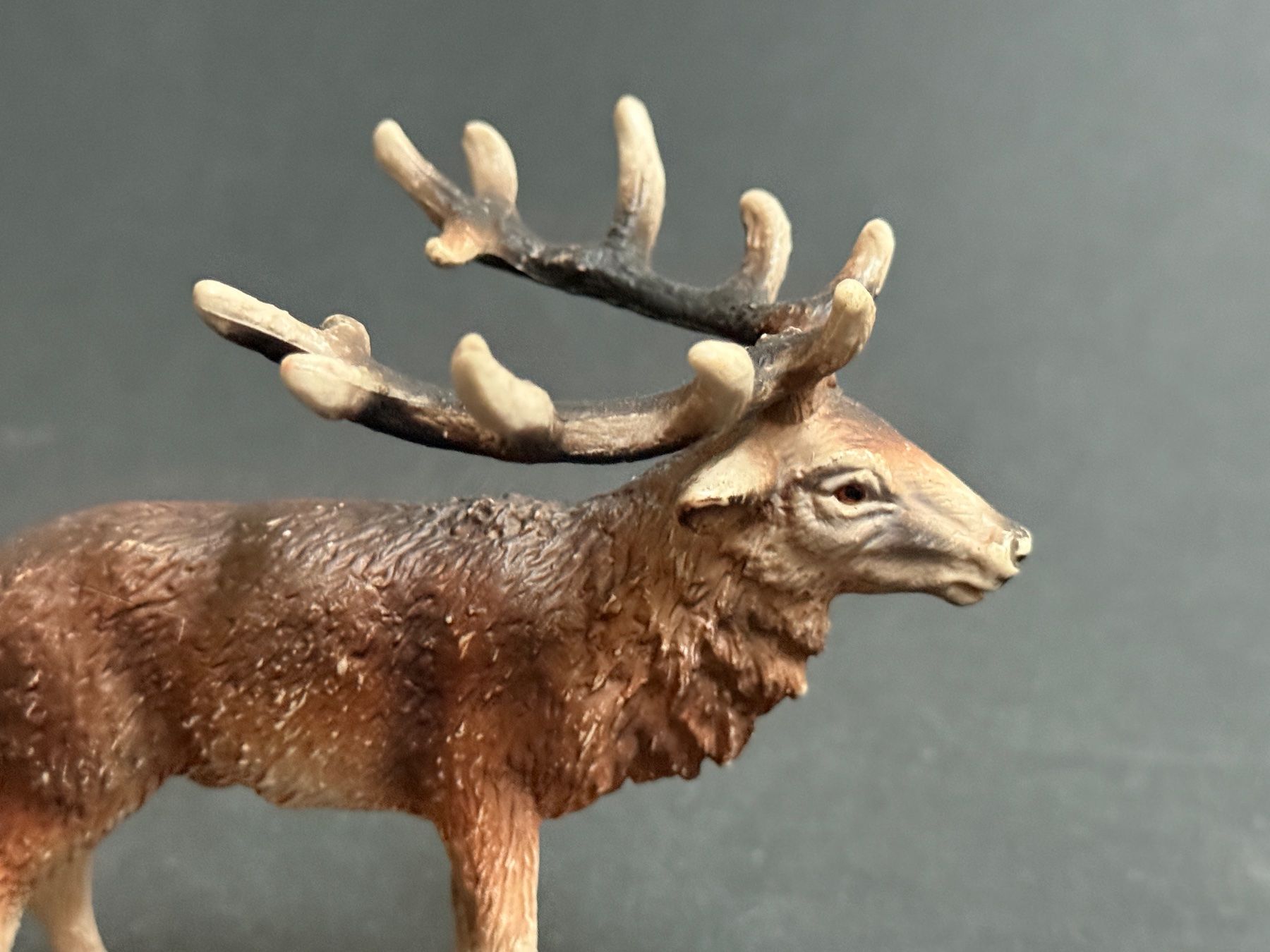 Schleich Statuette: Schleich Rothirsch Hirsch – Usato da Ennetbaden venduto da mapa05 2