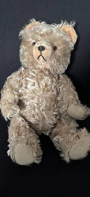Giocattoli: Teddybär – Usato da Wangenried venduto da bemja 2