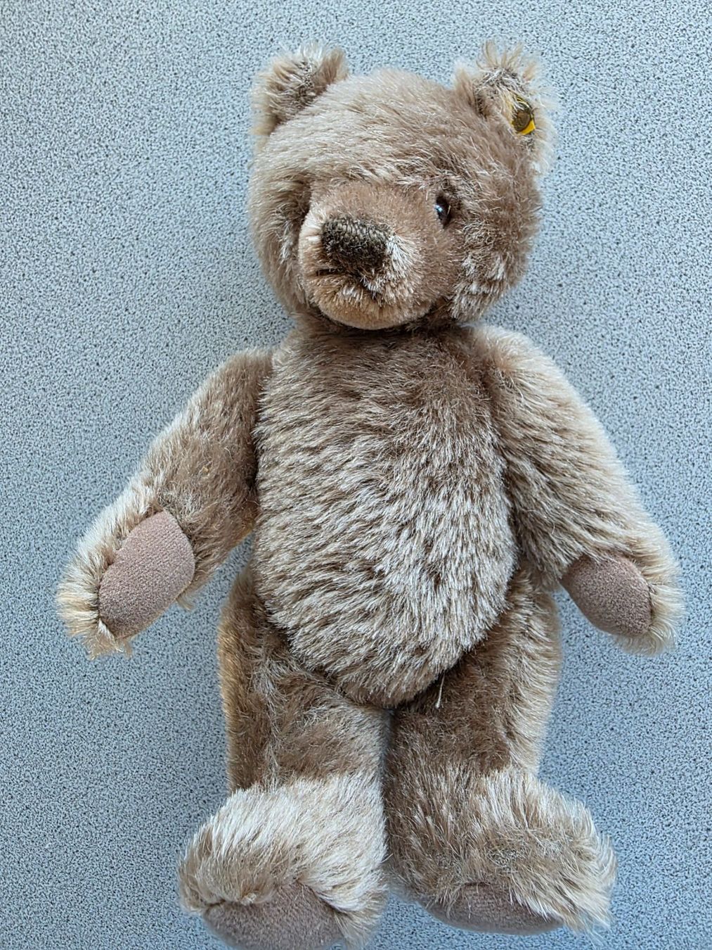 Steiff Giocattoli: STEIFF Teddy 25 cm, nicht bespielt – Usato da Burgdorf venduto da Liss 5